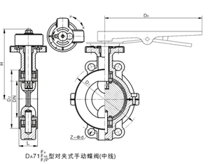 对夹全衬氟蝶阀D371F46/PO型